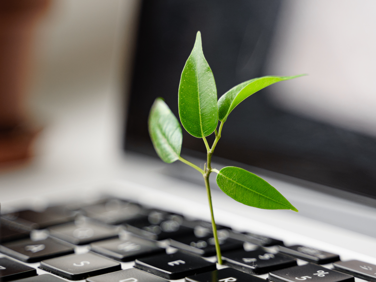 8 Ways to Reduce Your Carbon Footprint at Work