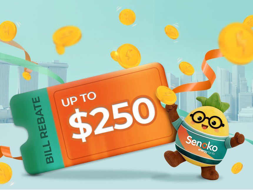 Your bill, up to $250 lighter