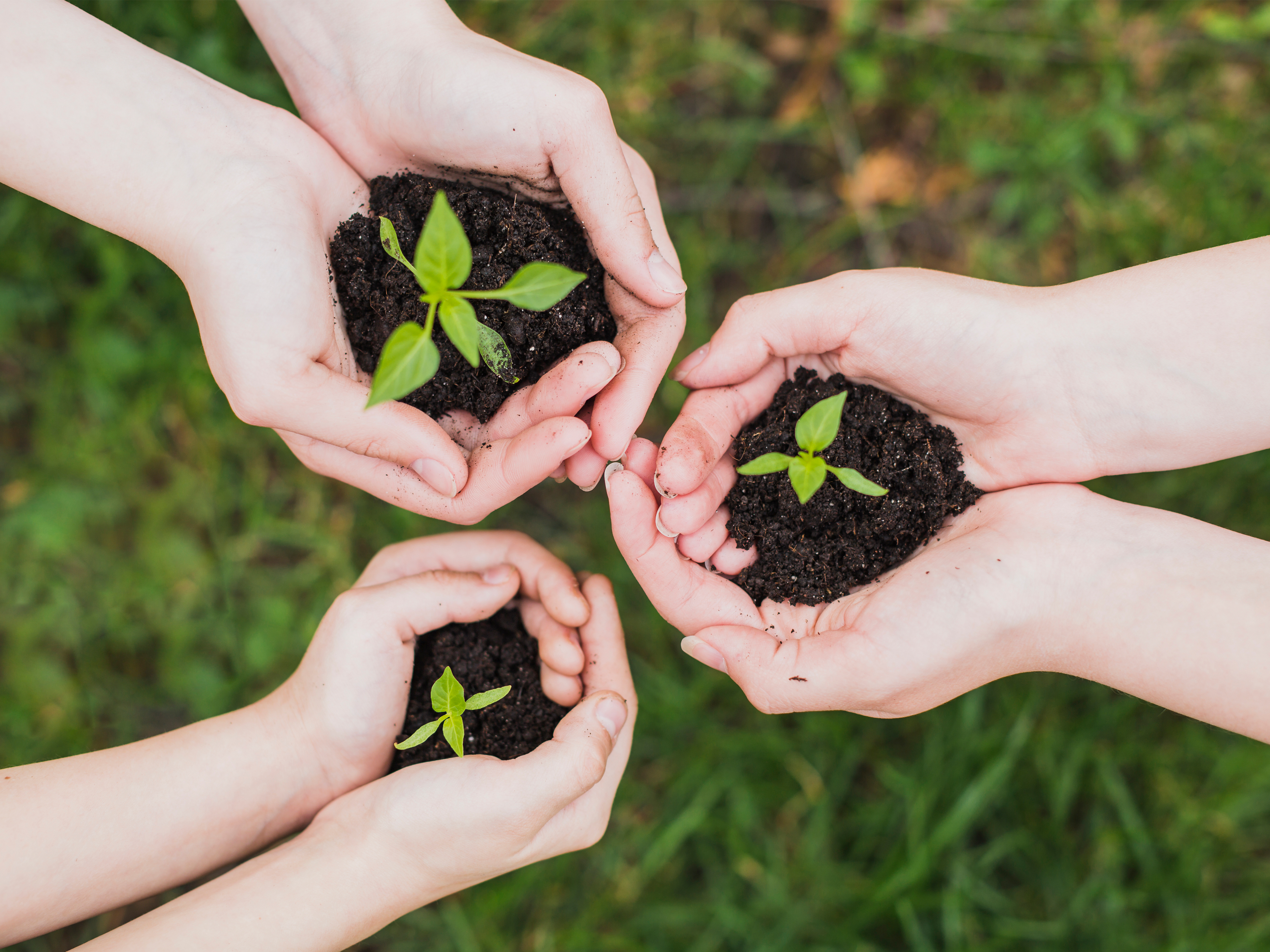 SolarShare FAQs - Consumer